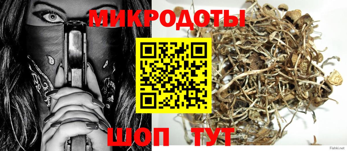 Псилоцибиновые грибы Cubensis Киселёвск