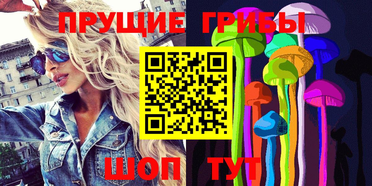 Псилоцибиновые грибы мицелий Киселёвск