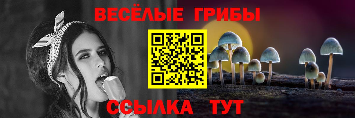 Псилоцибиновые грибы мухоморы  Вход с VPN  Киселёвск  Галлюциногенные грибы ЛСД 